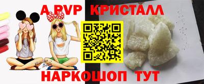 дурь Кингисепп