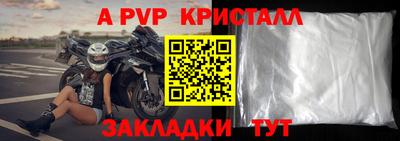 дурь Кингисепп