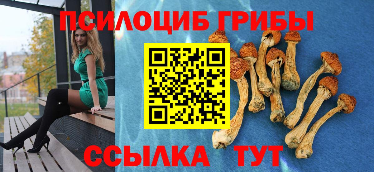Псилоцибиновые грибы мицелий Вологда