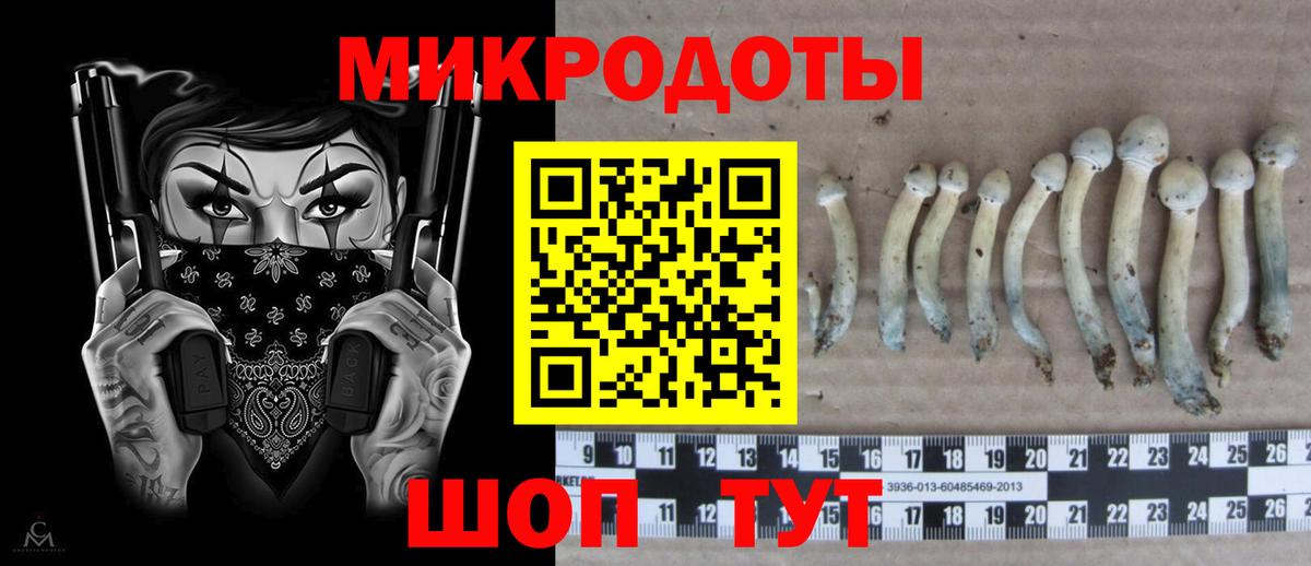 Псилоцибиновые грибы ЛСД  Галлюциногенные грибы прущие грибы  Вологда  Вход с VPN 